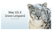 Apple       Snow Leopard