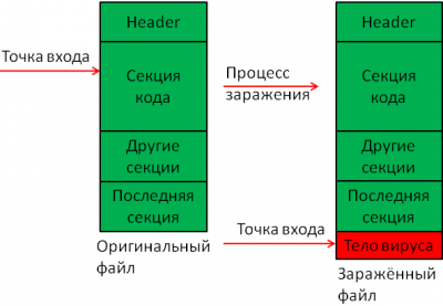   Virus.Win32.Virut.ce