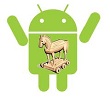 Android.Counterclank     Android Market